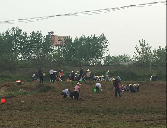 首页|壹定发EDF最新官方网站