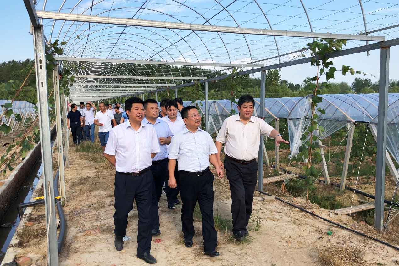 首页|壹定发EDF最新官方网站