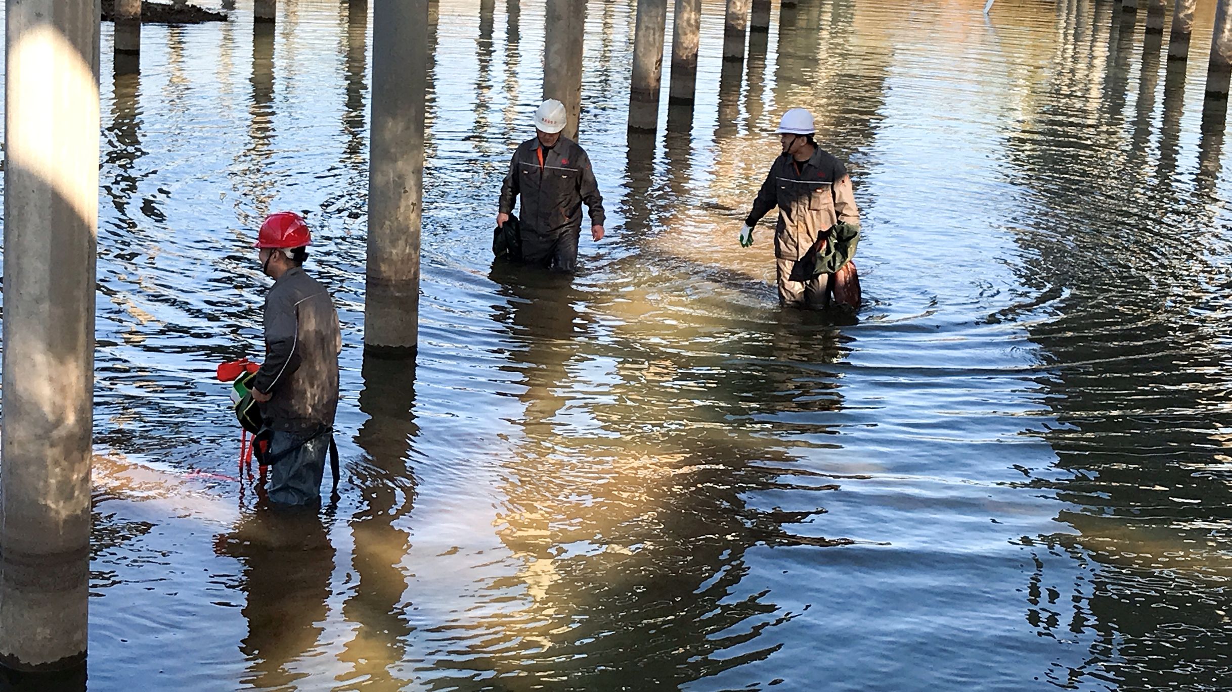 首页|壹定发EDF最新官方网站